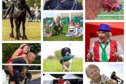 The Nonsuch Town and Country Show
