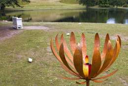 Sculpture Trail | Claremont Landscape Garden