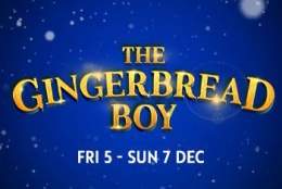 The Gingerbread Boy | Dorking Halls