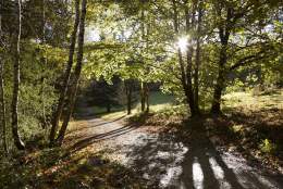 Winkworth Photographer of the Year exhibition | Winkworth Arboretum National Trust