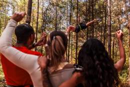 Adults Only Sessions at Go Ape Alice Holt this summer