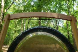 Soundbath in the Woods | Winkworth Arboretum National Trust