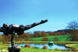 High Clandon Estate Vineyard