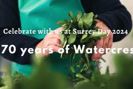 Kingfisher Surrey Day celebrating 170 years growing watercress