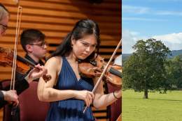 Guided Walk & Lunchtime Young Artists Concert | Surrey Hills International Music Festival