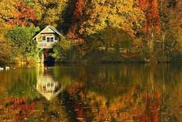 Winkworth Arboretum