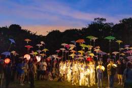 Freewheelers Theatre and Media