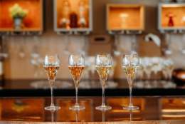 Vineyards of the Surrey Hills tasting at Chilworth Manor Vineyard | Surrey Hills Wine Week