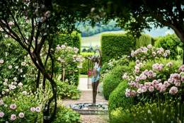 Shere Open Gardens 2026