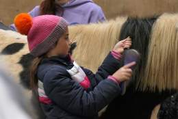 Christmas Pony Play by Elysian