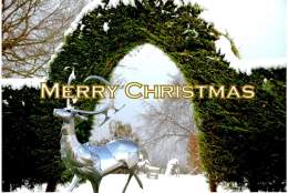 Fizz and Firelight – Christmas all Wrapped Up.  It’s here! At High Clandon Vineyard