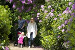 Claremont Landscape Garden