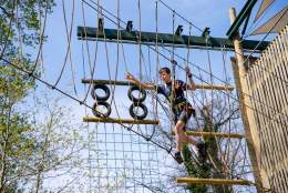 May Half Term Fun at Wild Wood Treetop Adventure