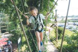 Wild Kids at Wild Wood Treetop Adventure