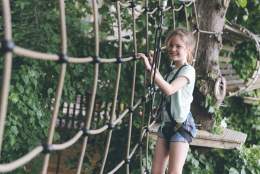 Summer at Wild Wood Treetop Adventure