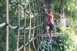 Summer at Wild Wood Treetop Adventure