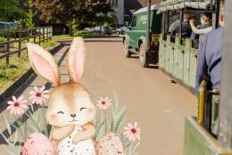 Easter Bunny Denbies Train Ride | Denbies Wine Estate
