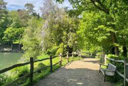 Winkworth Arboretum National Trust