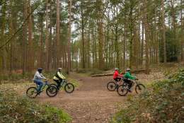 Forest Bike Hire at Alice Holt | Go Ape Surrey Trail Rides