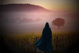 Fear the Faithful at Denbies Wine Estate