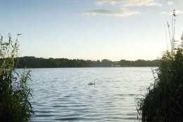 Frensham Great Pond
