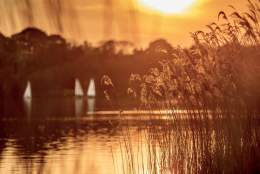 Frensham Great Pond
