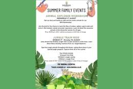 Jungle Train Ride | Denbies Wine Estate