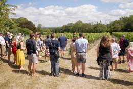 Greyfriars Vineyard
