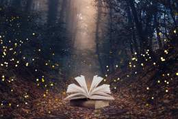 Grimm Tales Drama Workshop 8-11yrs | Yvonne Arnaud Theatre