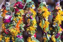MAGIC OF BEES - Rituals Workshop