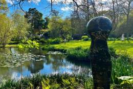Hannah Peschar Sculpture Garden
