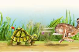Hare & Tortoise | Yvonne Arnaud Theatre