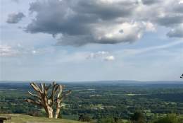 Leith Hill & Tower