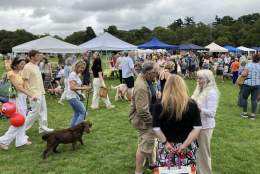 Albury Produce Show and Fair