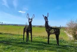 4ft Willow Deer Sculpture Weaving Workshop - 09:30-16:30