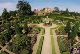 DogFest Surrey | Loseley Park