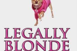 Legally Blonde JR | Cranleigh Arts