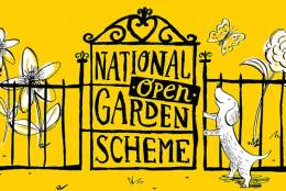 The Therapy Garden - Normandy, National Garden Scheme Open Day Garden