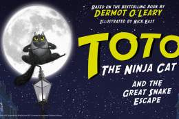Toto the Ninja Cat | Yvonne Arnaud Theatre