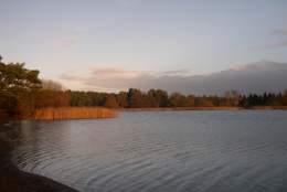 Frensham Little Pond