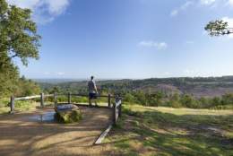 Hindhead Commons and the Devil’s Punch Bowl