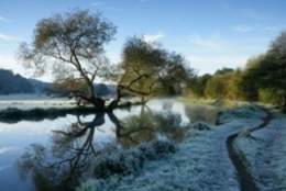 Wreath making at Dapdune Wharf