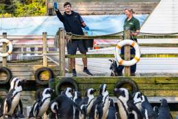 Birdworld