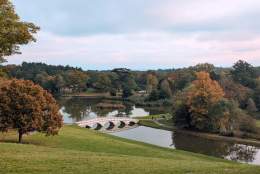 The Creation and Restoration of Painshill, Surrey | The Guildford Institute