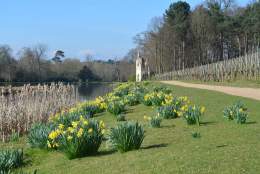 Painshill