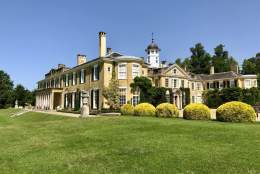 Adventure Cinema | Polesden Lacey National Trust