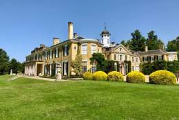 Polesdenopoly - February half-term 2026 | Polesden Lacey