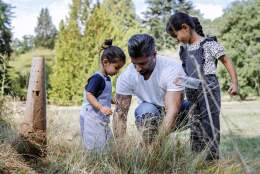 Summer Holidays – The Great Woodland Adventure | RHS Garden Wisley