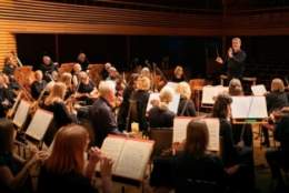 Surrey Mozart Players | Menuhin Hall