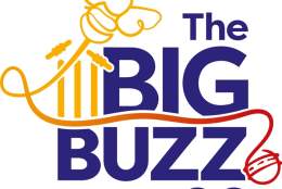 The Big Buzz 26, Bee-lieve Foundation Charity Cricket Festival